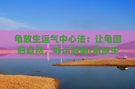 龟放生运气中心法：让龟回归自然，好运降临(龟放生什么时间好)