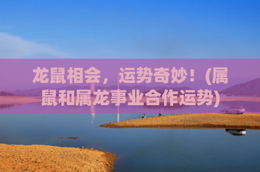 龙鼠相会，运势奇妙！(属鼠和属龙事业合作运势)