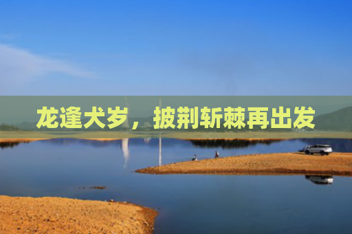 龙逢犬岁，披荆斩棘再出发