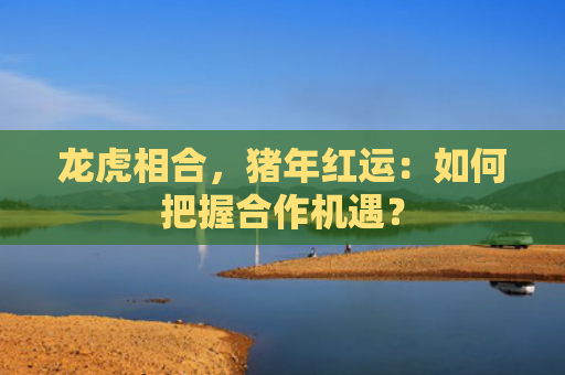 龙虎相合，猪年红运：如何把握合作机遇？