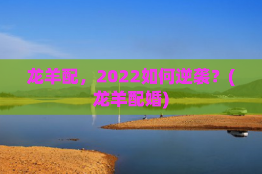 龙羊配，2022如何逆袭？(龙羊配婚)