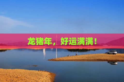 龙猪年，好运满满！
