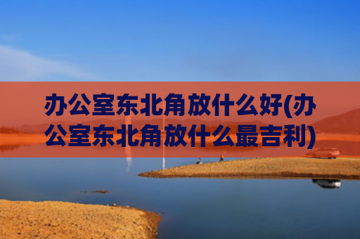 办公室东北角放什么好(办公室东北角放什么最吉利)