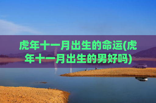 虎年十一月出生的命运(虎年十一月出生的男好吗)