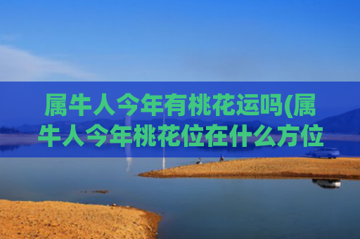 属牛人今年有桃花运吗(属牛人今年桃花位在什么方位)