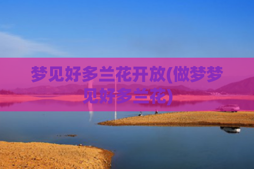 梦见好多兰花开放(做梦梦见好多兰花)