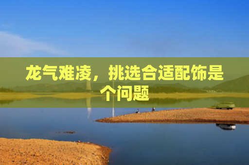 龙气难凌，挑选合适配饰是个问题