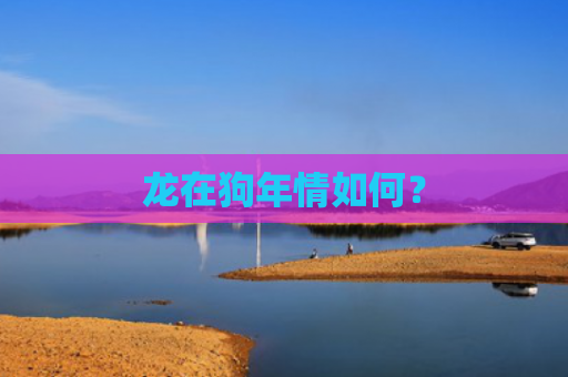龙在狗年情如何？