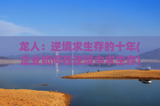 龙人：逆境求生存的十年(企业如何在逆境中求生存)