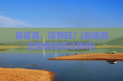鼻梁高，运势旺？(鼻梁受伤留疤影响运势吗)