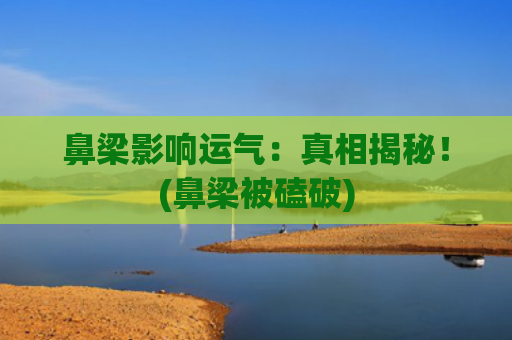 鼻梁影响运气：真相揭秘！(鼻梁被磕破)