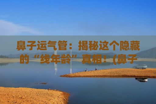 鼻子运气管：揭秘这个隐藏的“线年龄”真相！(鼻子运气从什么年龄开始)