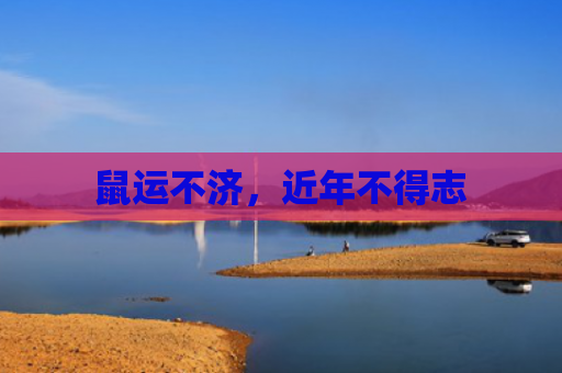 鼠运不济，近年不得志