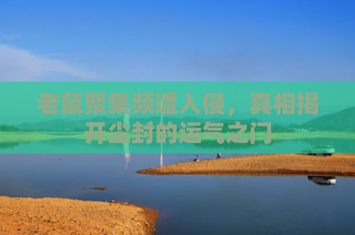 老鼠聚集频遭入侵，真相揭开尘封的运气之门