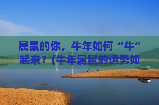 属鼠的你，牛年如何“牛”起来？(牛年属鼠的运势如何)