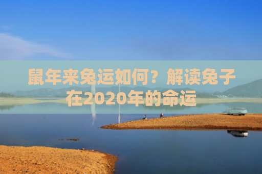 鼠年来兔运如何？解读兔子在2020年的命运