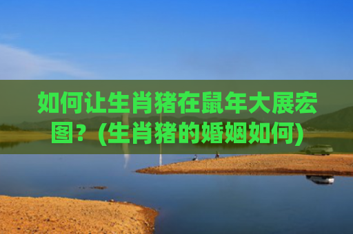 如何让生肖猪在鼠年大展宏图？(生肖猪的婚姻如何)
