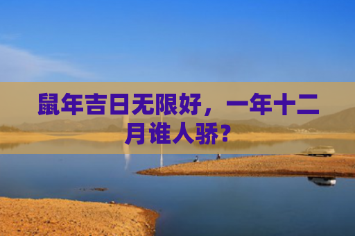 鼠年吉日无限好，一年十二月谁人骄？