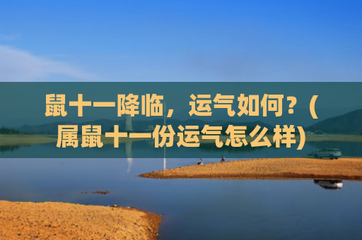 鼠十一降临，运气如何？(属鼠十一份运气怎么样)