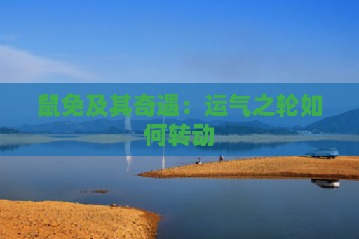 鼠免及其奇遇：运气之轮如何转动