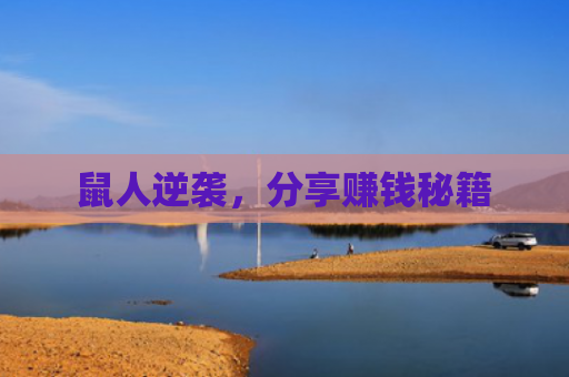 鼠人逆袭，分享赚钱秘籍