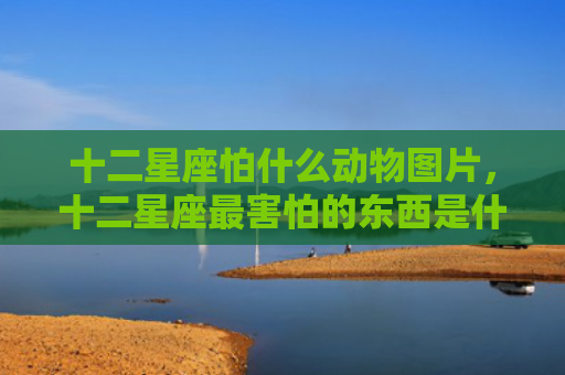 十二星座怕什么动物图片，十二星座最害怕的东西是什么和最喜欢的
