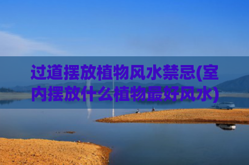 过道摆放植物风水禁忌(室内摆放什么植物最好风水)