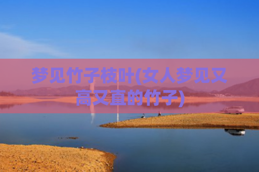 梦见竹子枝叶(女人梦见又高又直的竹子)