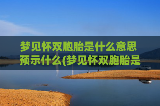 梦见怀双胞胎是什么意思 预示什么(梦见怀双胞胎是什么预兆)