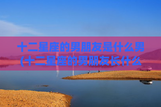 十二星座的男朋友是什么男(十二星座的男朋友长什么样子)