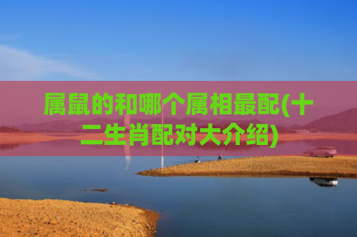 属鼠的和哪个属相最配(十二生肖配对大介绍)