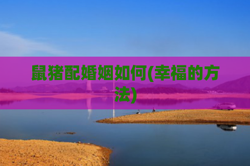 鼠猪配婚姻如何(幸福的方法)