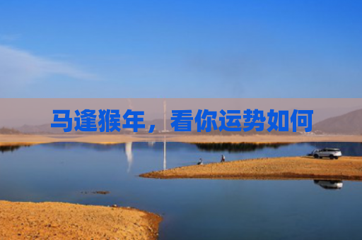 马逢猴年，看你运势如何