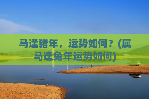 马逢猪年，运势如何？(属马逢兔年运势如何)
