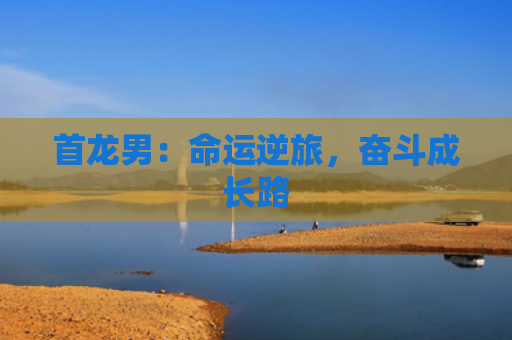 首龙男：命运逆旅，奋斗成长路