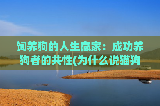 饲养狗的人生赢家：成功养狗者的共性(为什么说猫狗双全是人生赢家)
