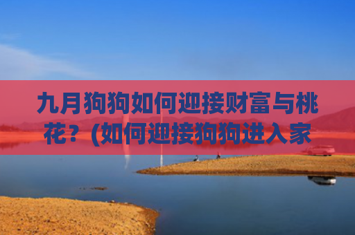 九月狗狗如何迎接财富与桃花？(如何迎接狗狗进入家庭)