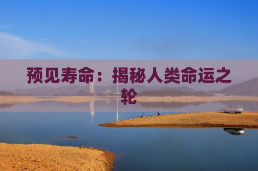 预见寿命：揭秘人类命运之轮