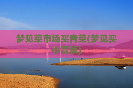 梦见菜市场买青菜(梦见买小青菜)