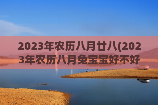 2023年农历八月廿八(2023年农历八月兔宝宝好不好)