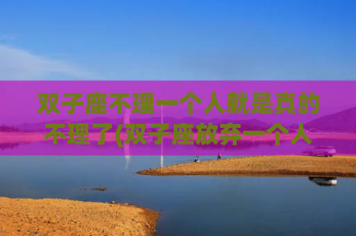 双子座不理一个人就是真的不理了(双子座放弃一个人的表现)