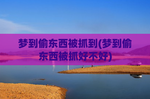 梦到偷东西被抓到(梦到偷东西被抓好不好)