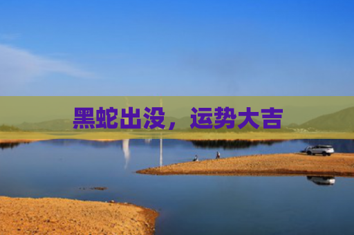 黑蛇出没，运势大吉