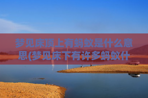 梦见床顶上有蚂蚁是什么意思(梦见床下有许多蚂蚁什么预兆)