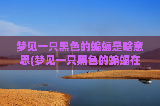 梦见一只黑色的蝙蝠是啥意思(梦见一只黑色的蝙蝠在床上赶不走)