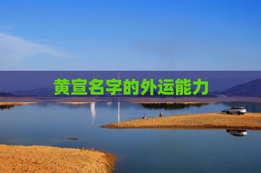 黄宣名字的外运能力