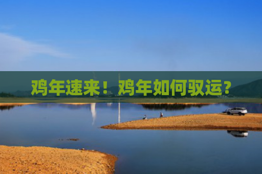 鸡年速来！鸡年如何驭运？