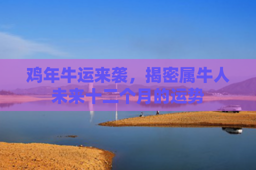 鸡年牛运来袭，揭密属牛人未来十二个月的运势