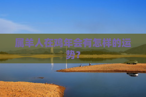 属羊人在鸡年会有怎样的运势？