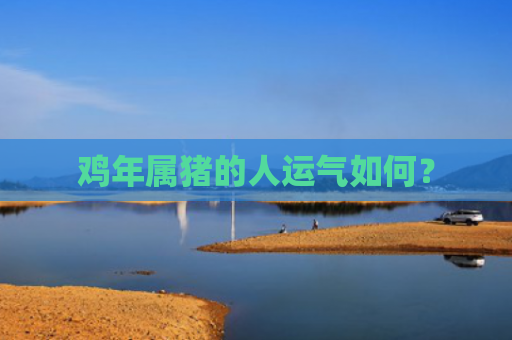 鸡年属猪的人运气如何？